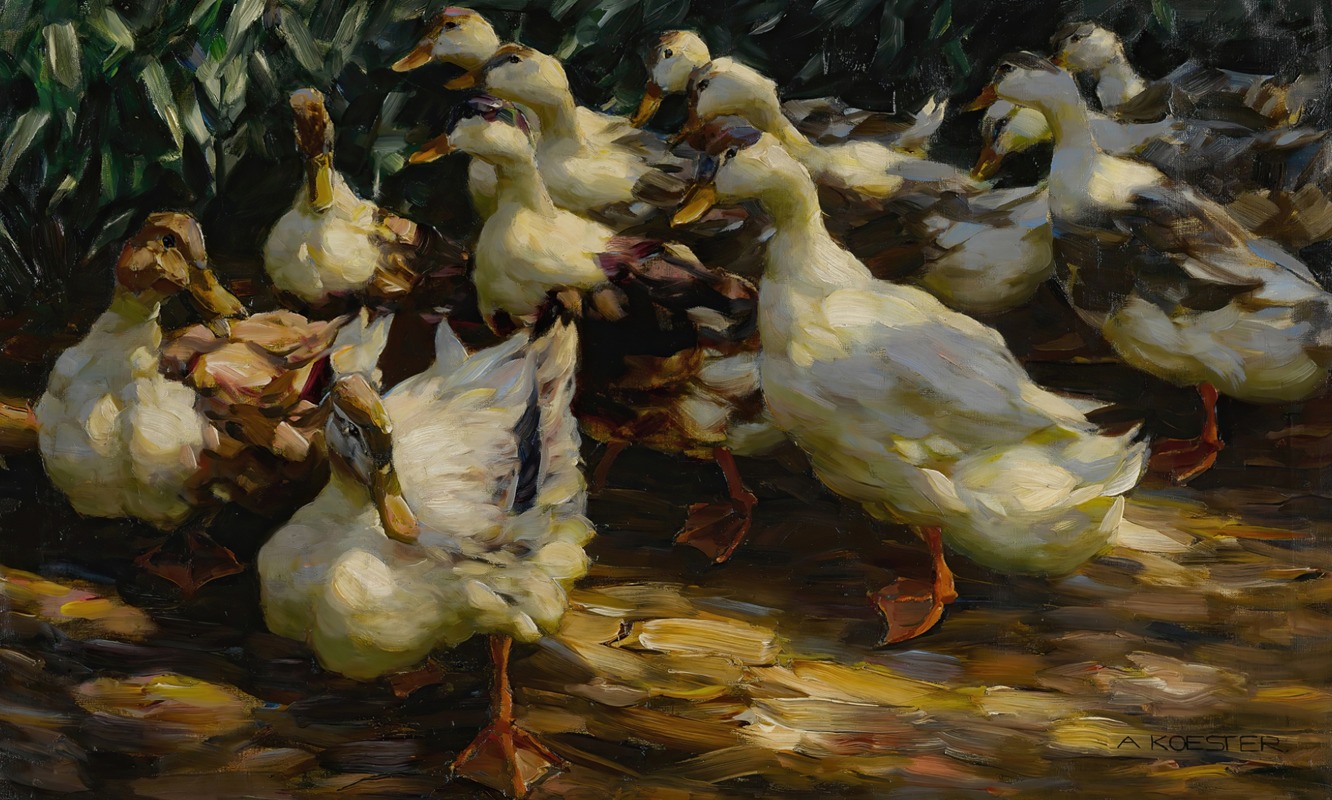 Alexander Koester - Ducks in Sunlight