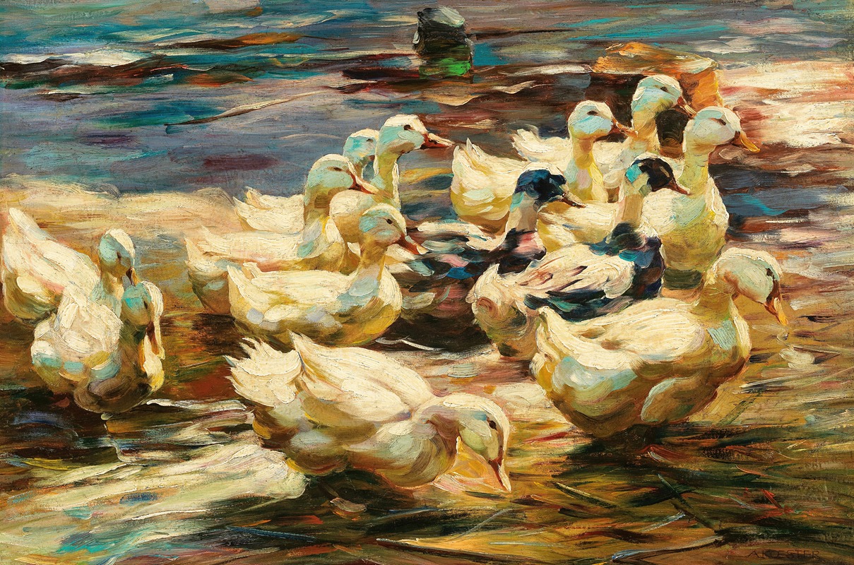 Alexander Koester - Ducks Getting Out of the Water