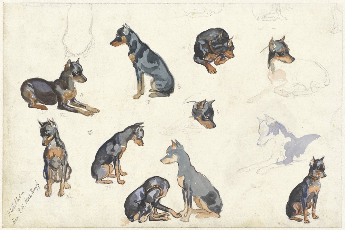 Anna Maria Kruijff - Studies van een hond
