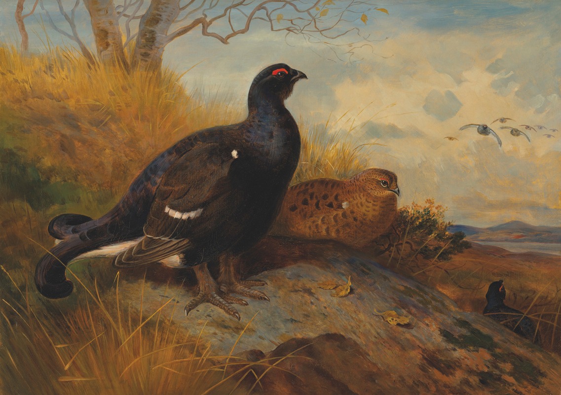 Archibald Thorburn - Blackgame on a rocky outcrop, with a loch beyond