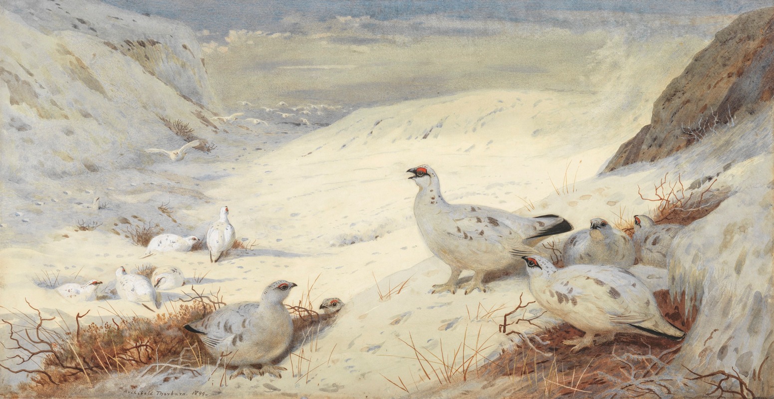 Archibald Thorburn - Ptarmigan in winter plumage signed and dated ‘Archibald Thorburn. 1899