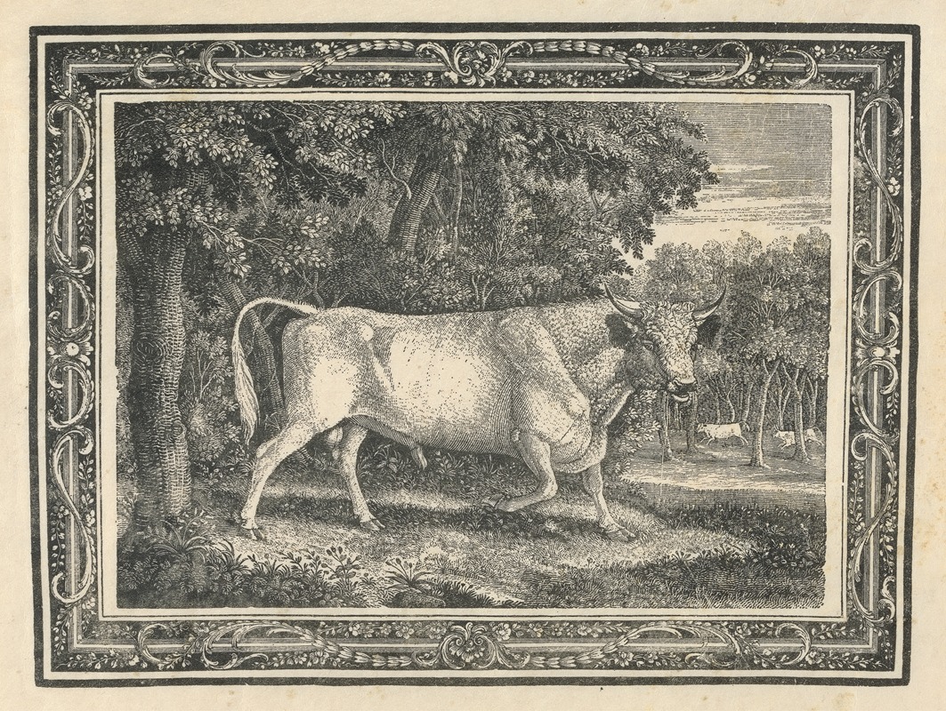 Thomas Bewick - The Wild Bull of Chillingham