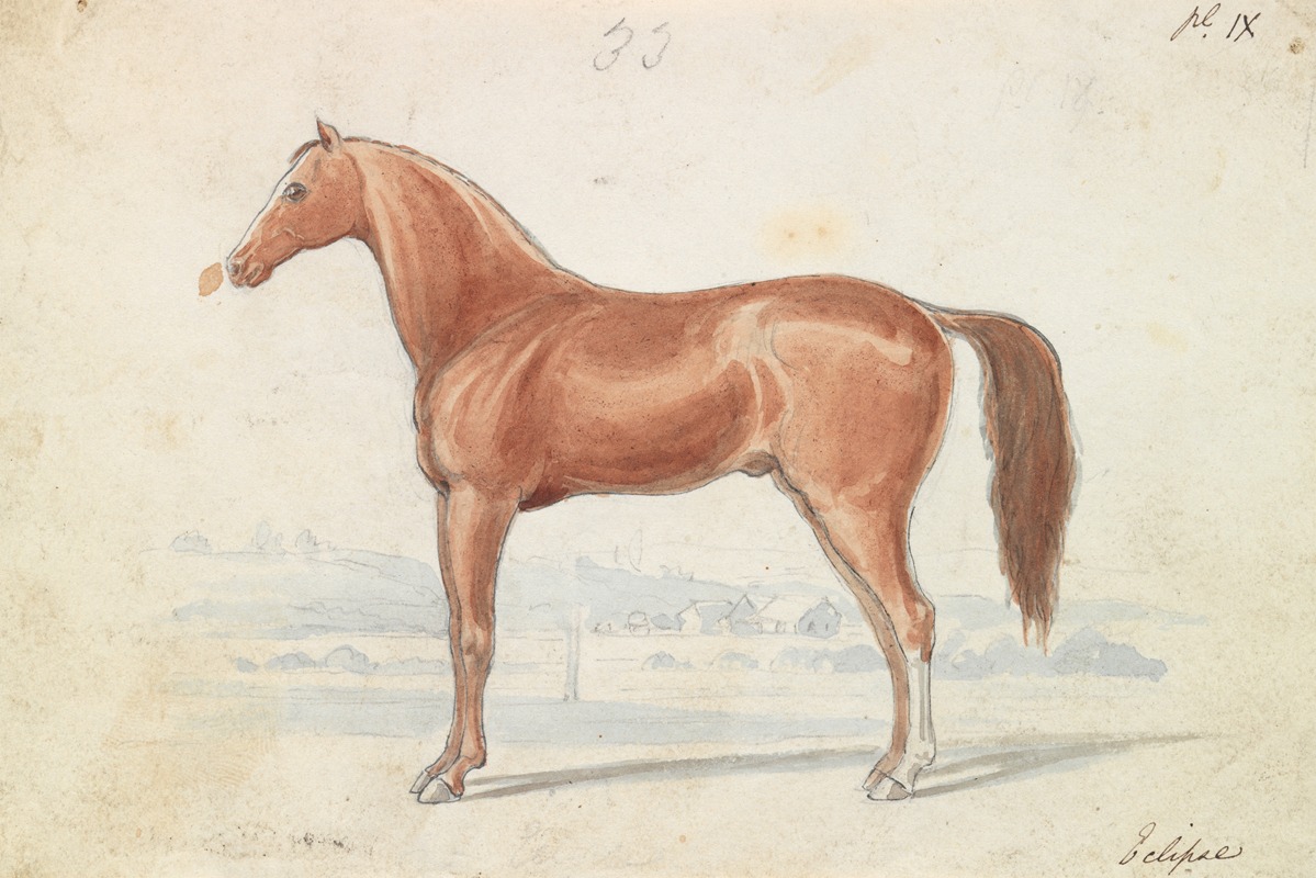 Charles Hamilton Smith - The English Race-Horse