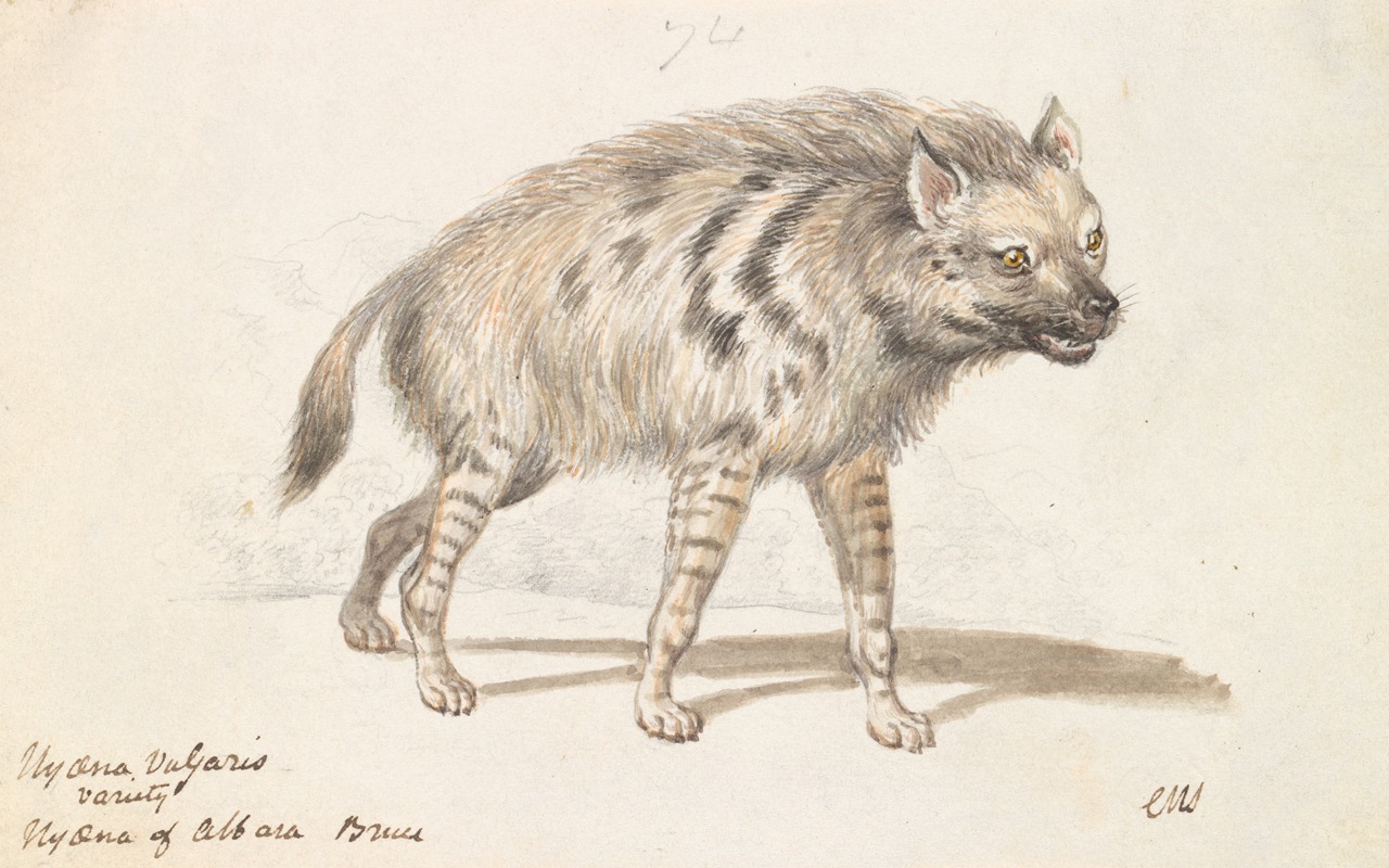 Charles Hamilton Smith - The Hyena of Albara