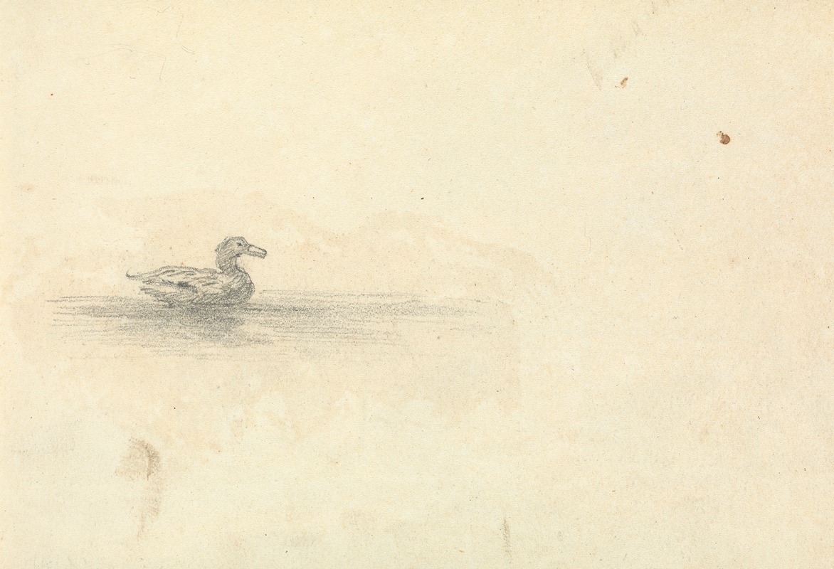 Thomas Bradshaw - Sketch of a Duck