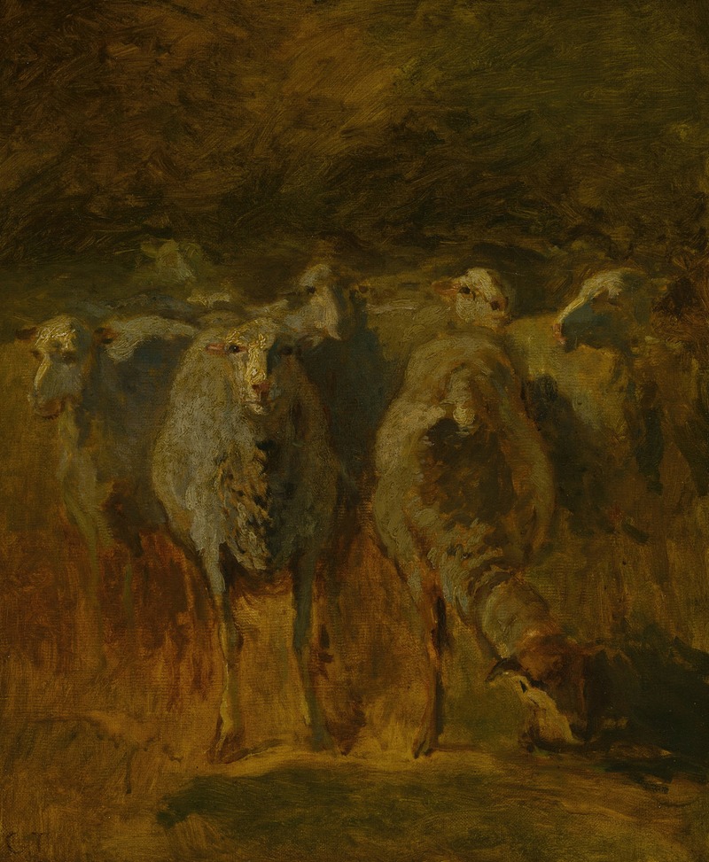 Constant Troyon - Unfinished Study of Sheep