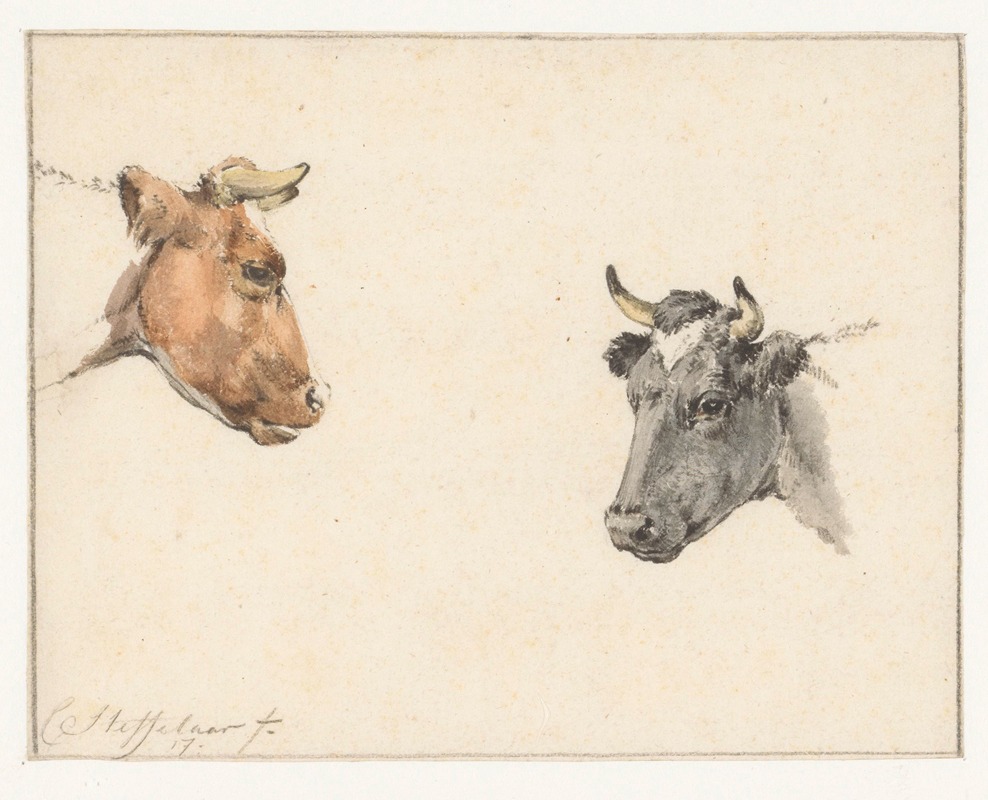 Cornelis Steffelaar - Studieblad met twee koeienkoppen