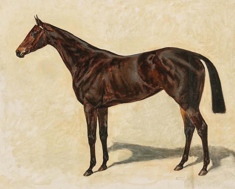 Emil Adam - A Dark Brown Thoroughbred Mare