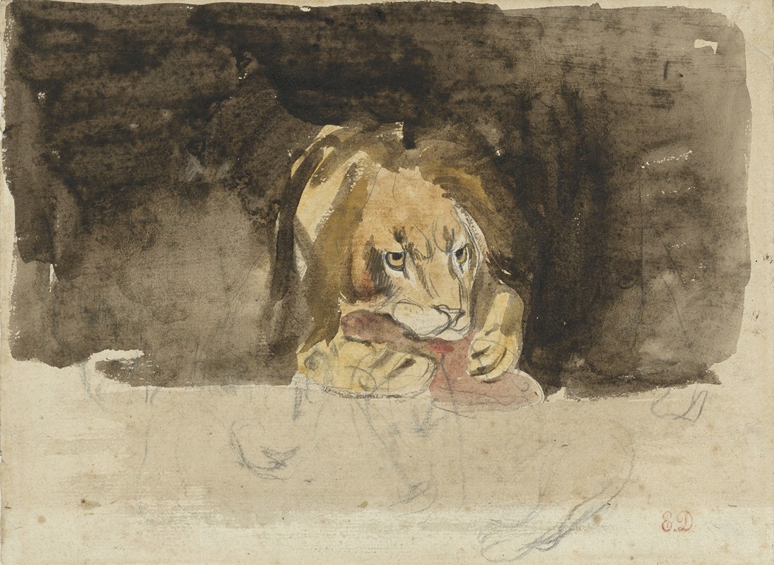 Eugène Delacroix - Vleesetende leeuw, van voren gezien, uitkomende tegen een donker fond