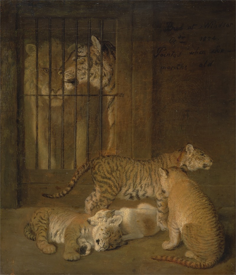 Jacques-Laurent Agasse - Group of Whelps Bred between a Lion and a Tigress