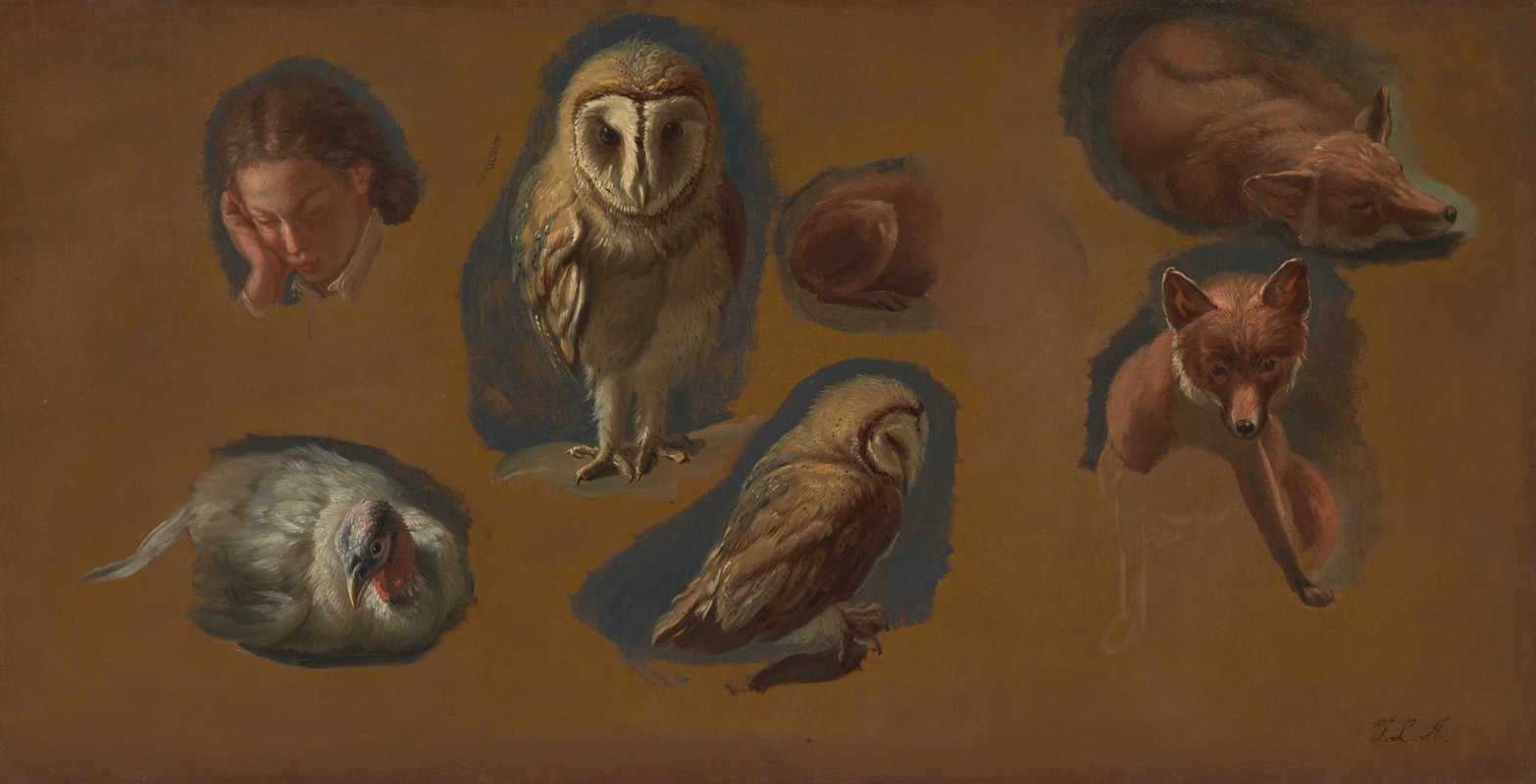 Jacques-Laurent Agasse - Studies of a Fox, a Barn Owl, a Peahen, and the Head of a Young Man