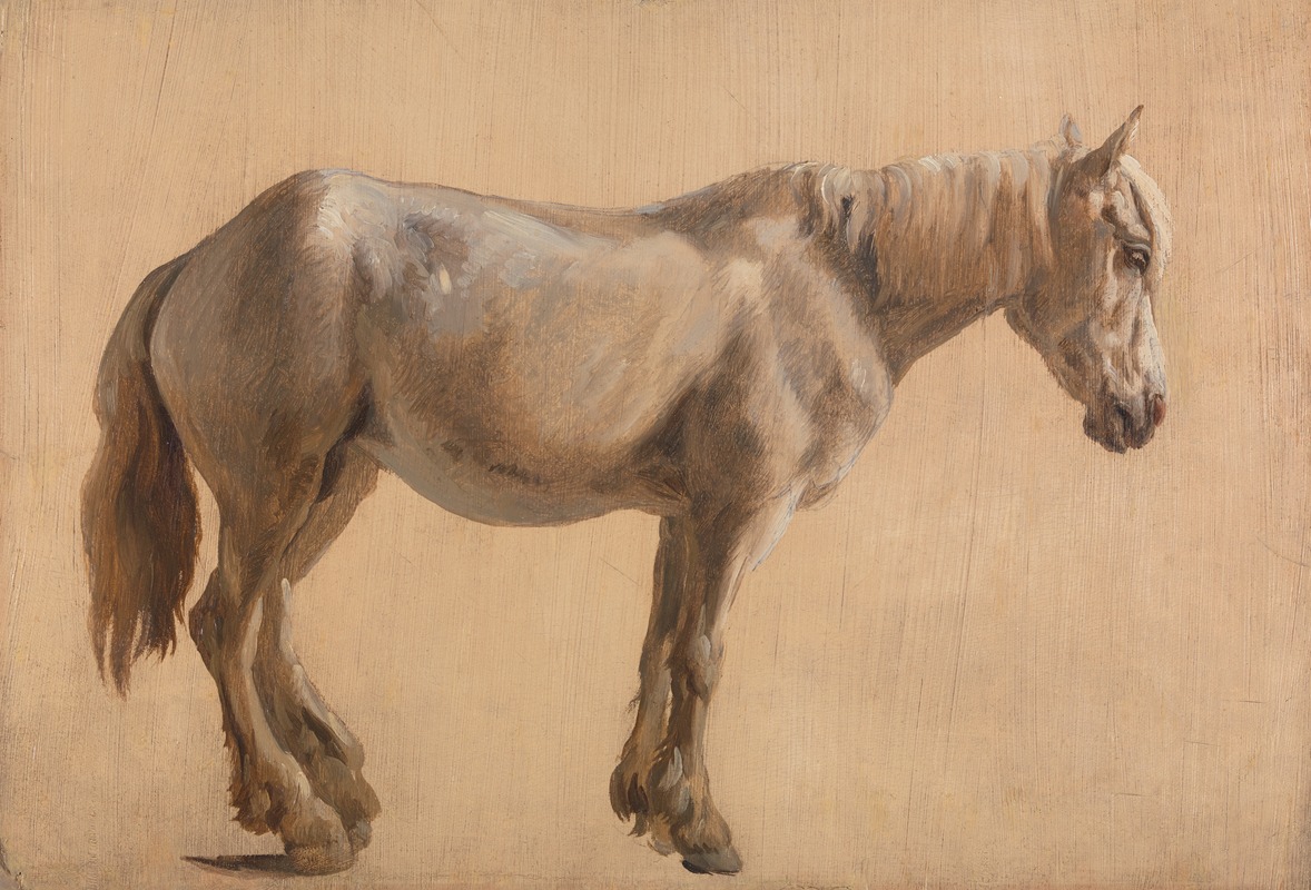 Jacques-Laurent Agasse - Study of a Grey Horse