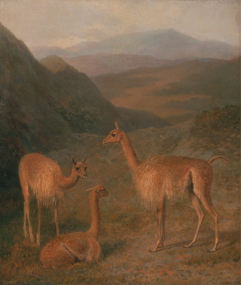 Jacques-Laurent Agasse - Vicunas