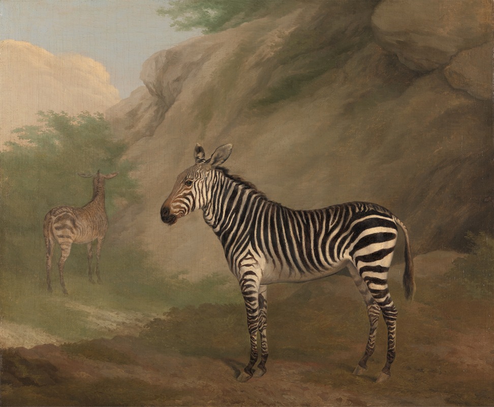 Jacques-Laurent Agasse - Zebra