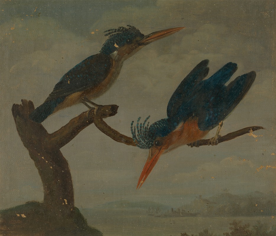 James Sowerby - Two Kingfishers beside a Lake.