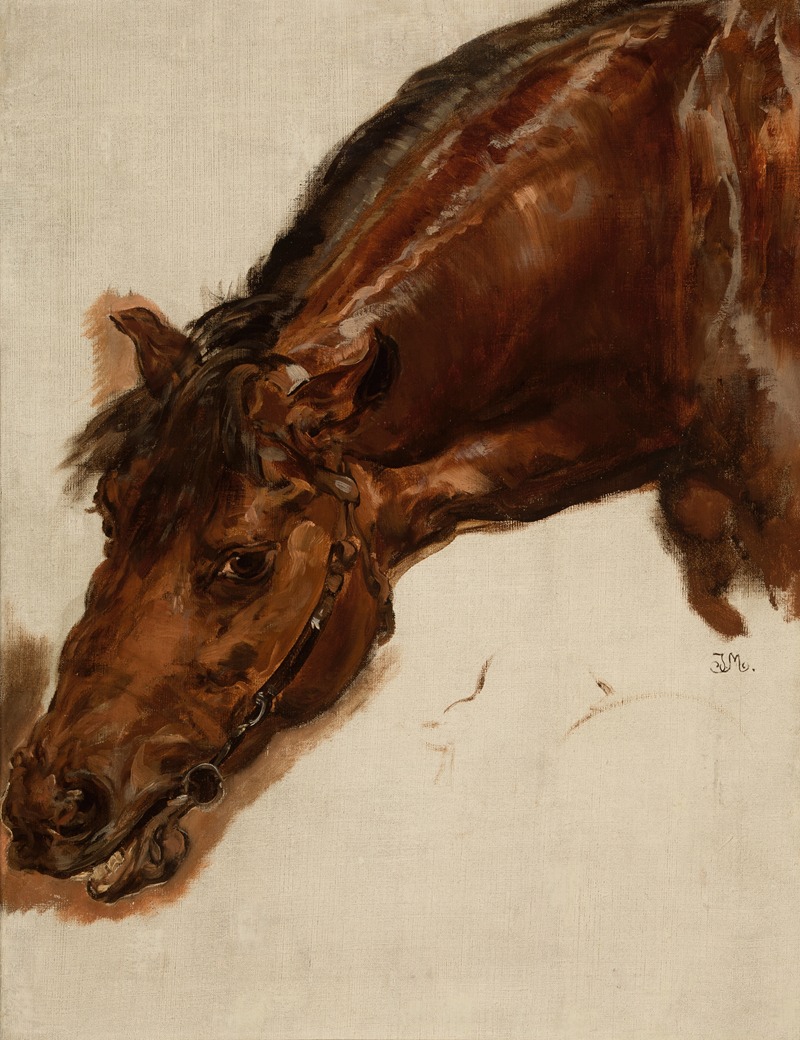 Jan Matejko - Study of a horse head