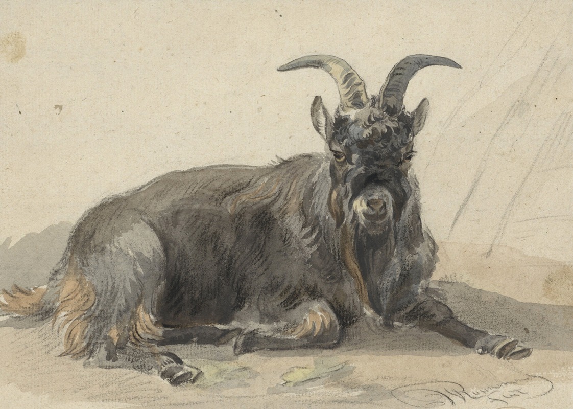 Jan van Ravenswaay - Liggende zwarte geitenbok