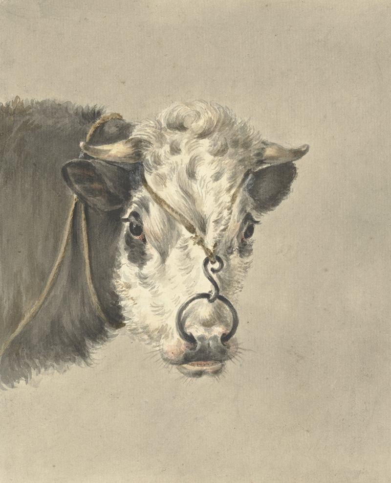 vuist Hechting evalueren Kop van een koe, met een ring door de neus, van voren by Jean Bernard -  Artvee