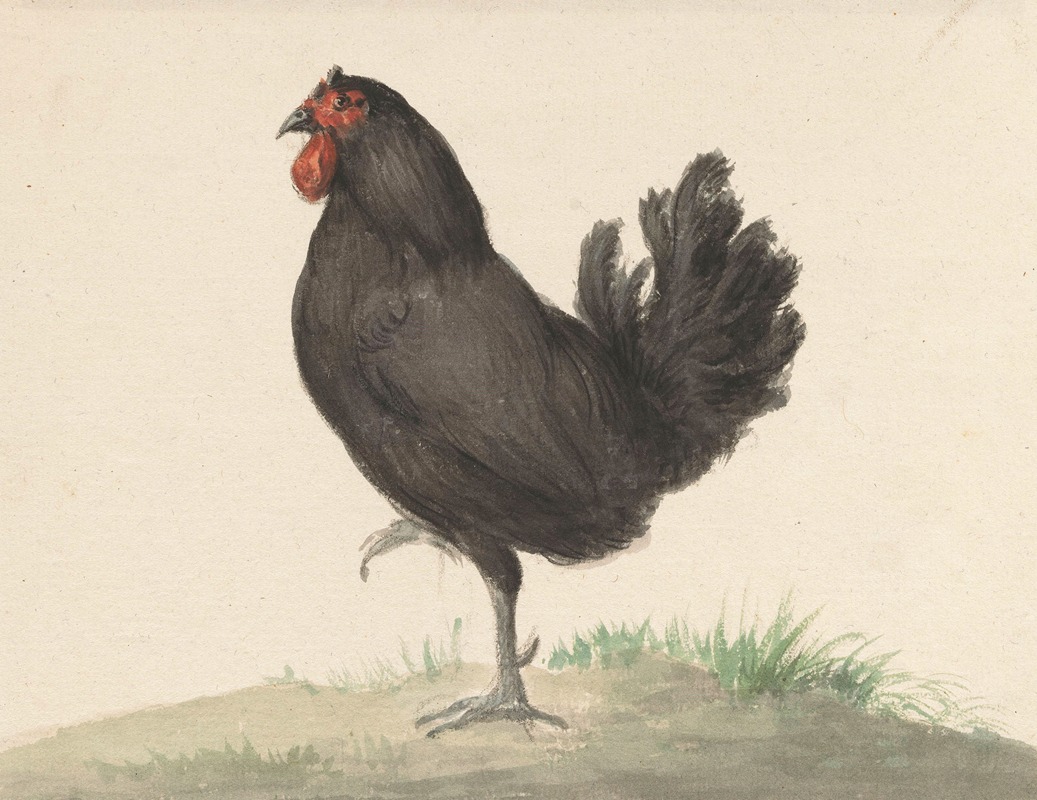 Jean Bernard - Staande zwarte kip