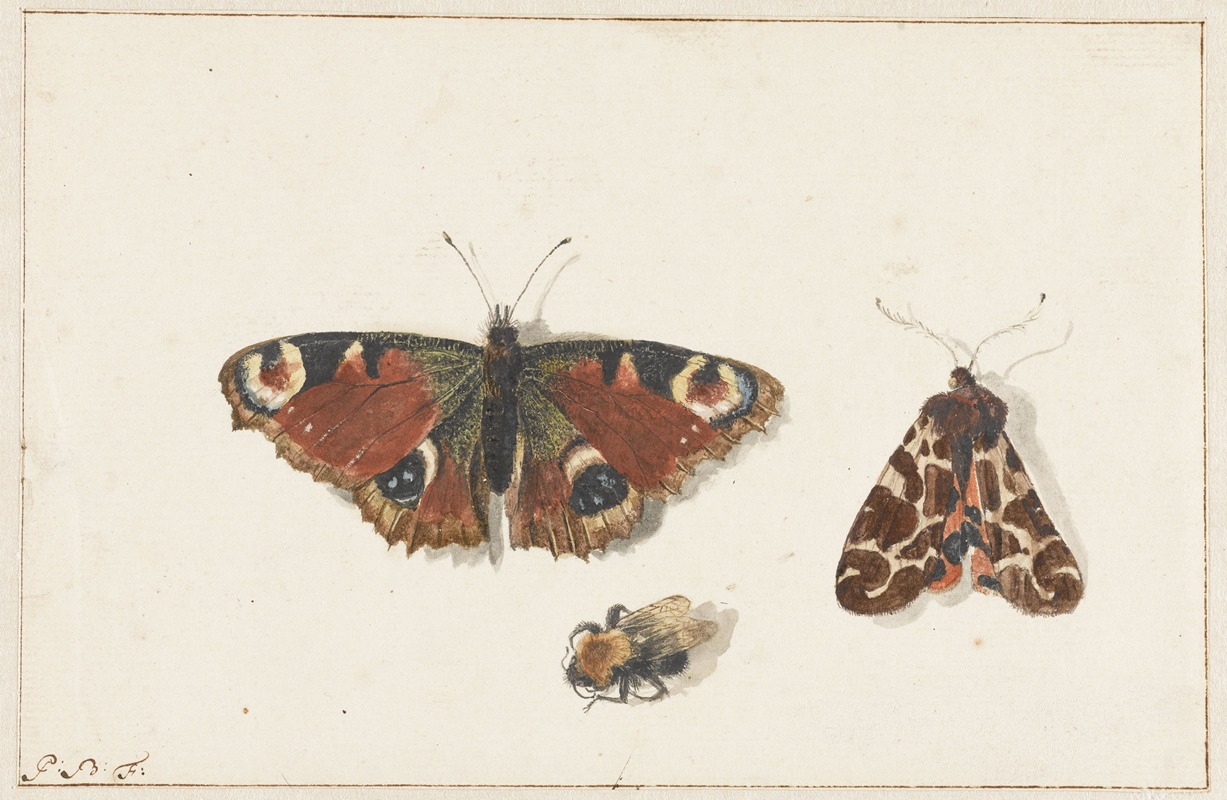Johannes van Bronckhorst - Butterfly, Moth and Bumblebee