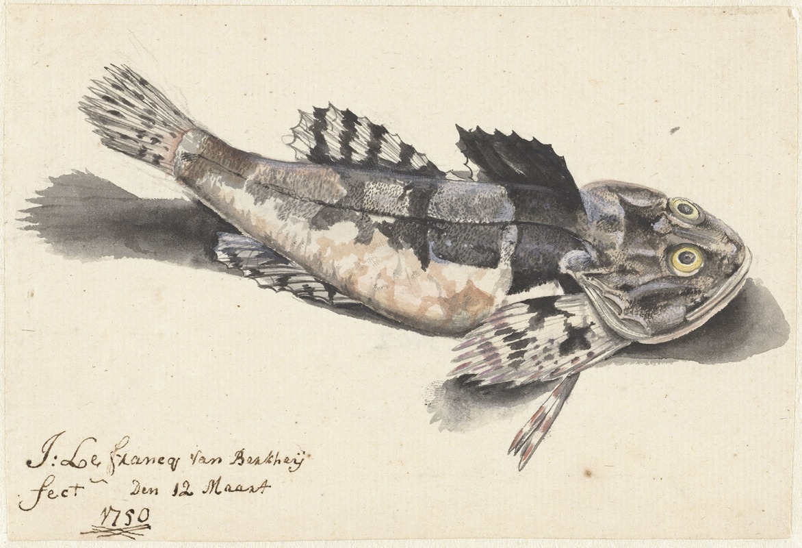 Johannes le Francq van Berkhey - Zeedonderpad