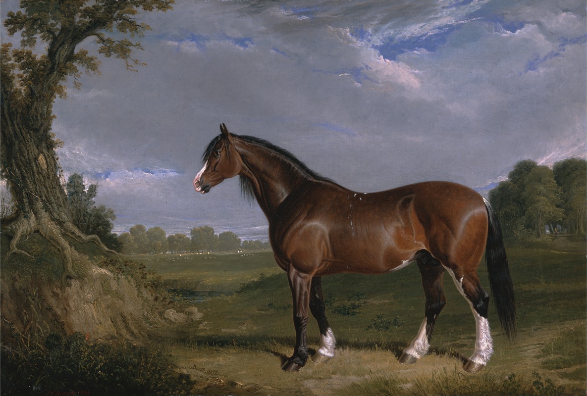 John Frederick Herring Snr. - A Clydesdale Stallion