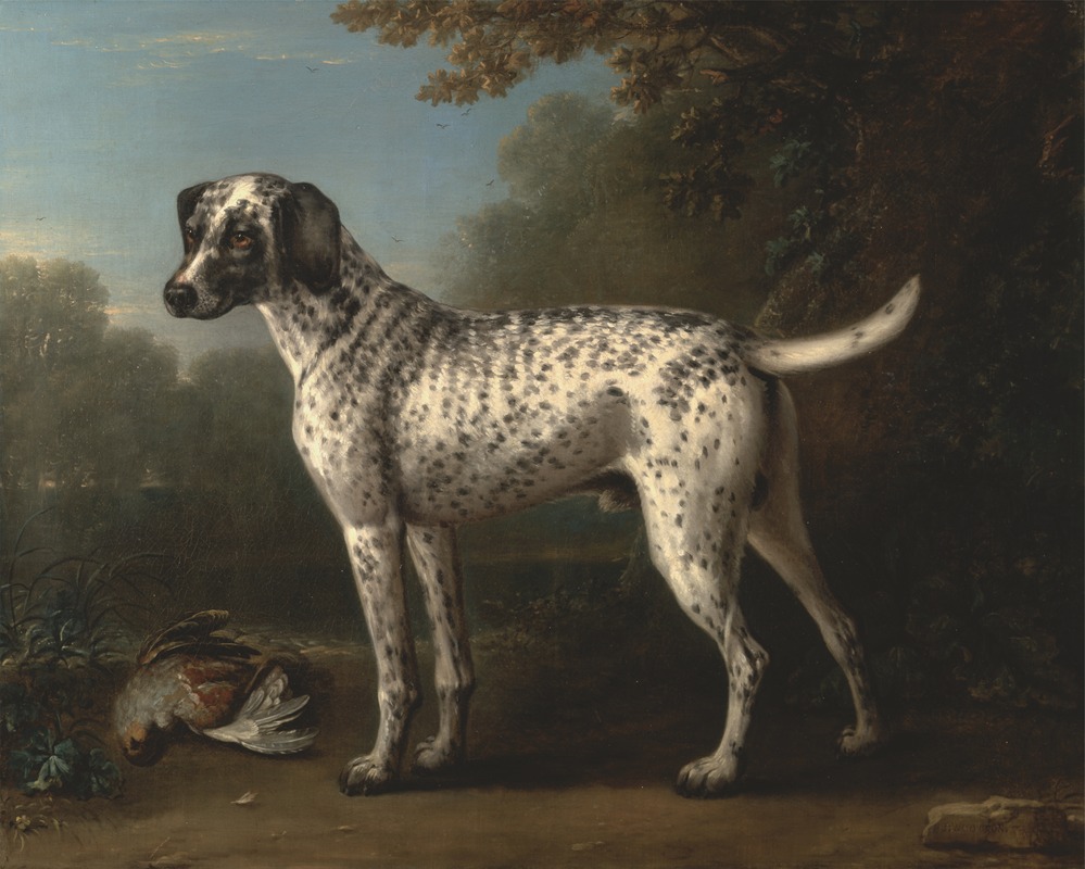 John Wootton - A Grey Spotted Hound