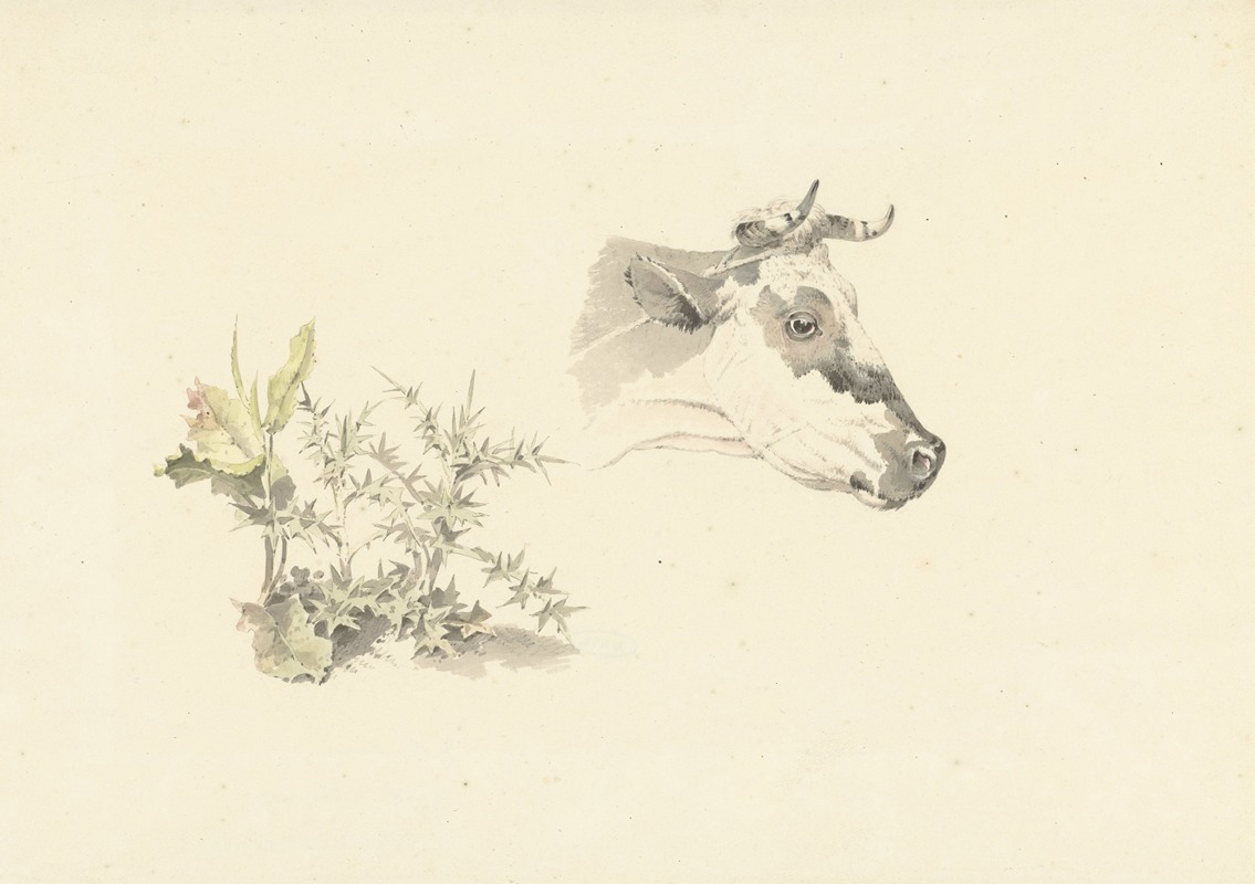 Josephus Augustus Knip - Kop van een koe en twee planten