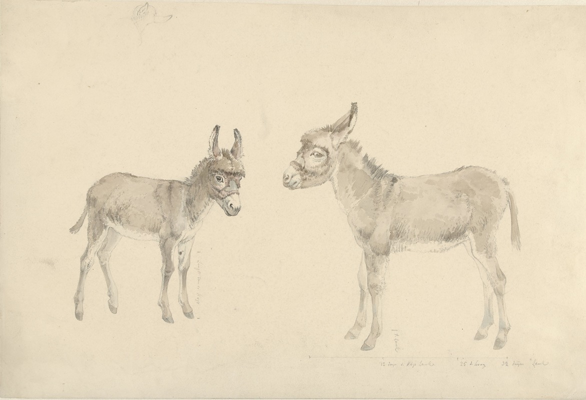 Josephus Augustus Knip - Twee ezels