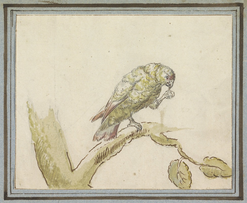 Pieter Casteels III - Papegaai op een tak van een boom