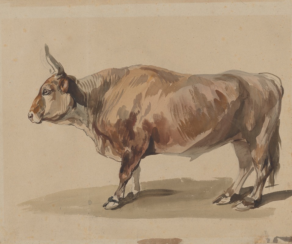 Piotr Michałowski - Study of a fawn ox