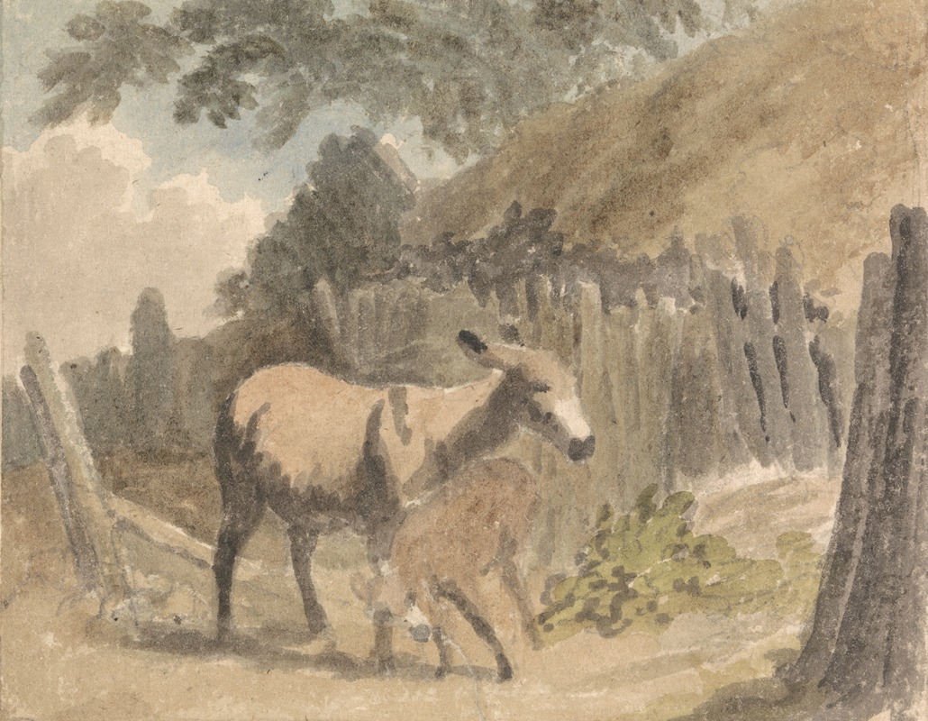 Robert Hills - A Donkey and Foal