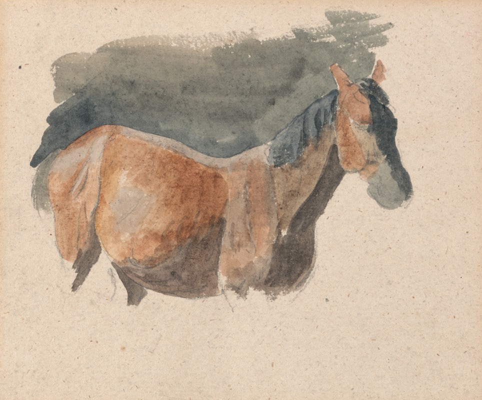 Robert Hills - Sketch of a Horse