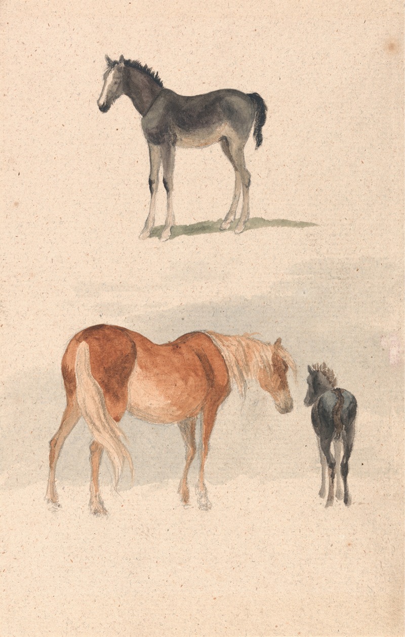 Robert Hills - Two Studies; a Foal, and a Mare and Foal