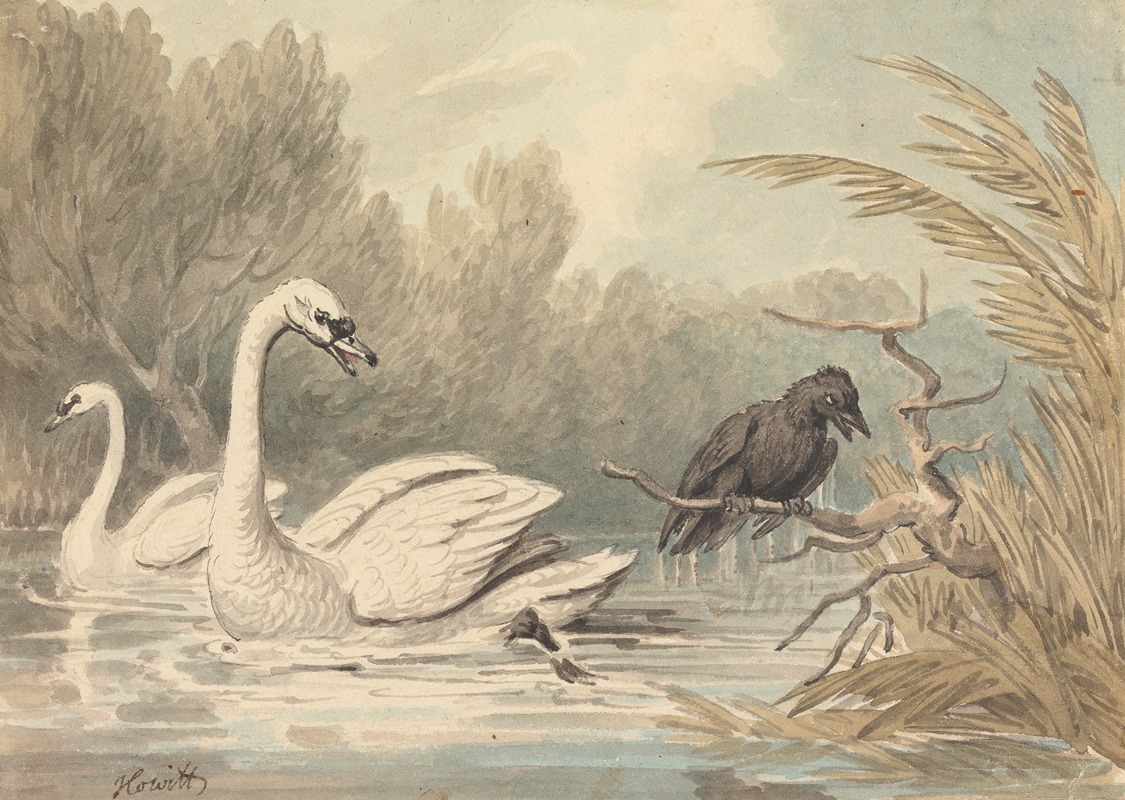 Samuel Howitt - A Raven and Two Swans
