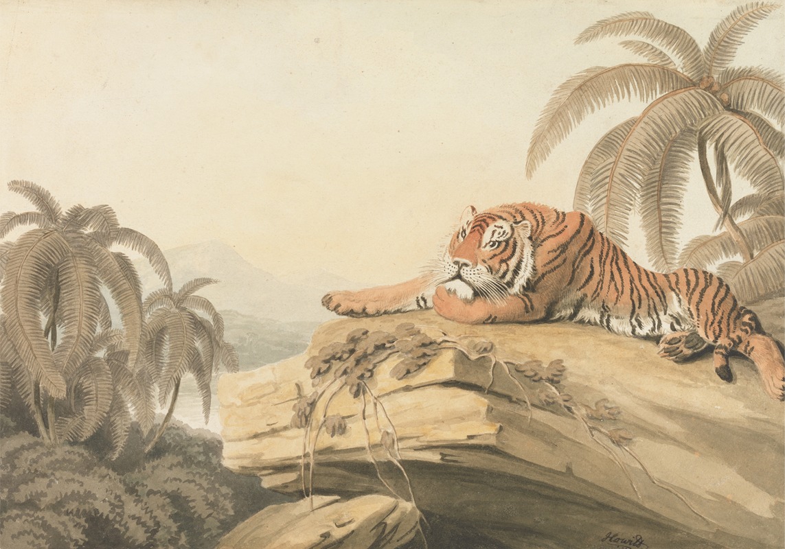 Samuel Howitt - A Tiger Resting