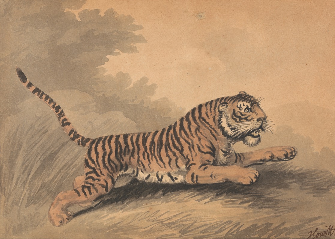 Samuel Howitt - A Tigress Leaping to the Right