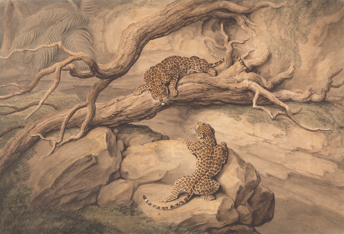 Samuel Howitt - Leopards at Play Among Fallen Trees and Rocks