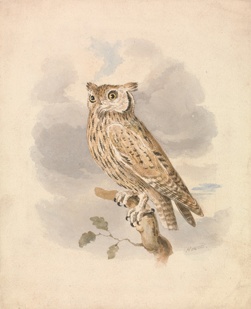 Samuel Howitt - Scops Owl