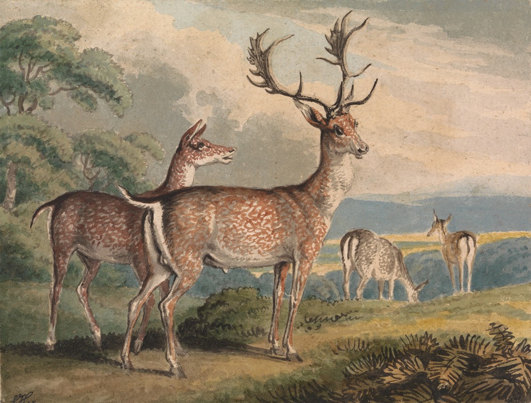 Samuel Howitt - Stag, Doe and Fawns