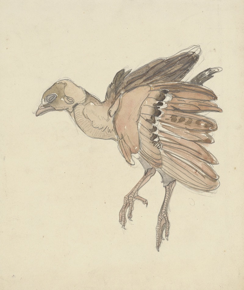 Theo van Hoytema - Dood vogeltje