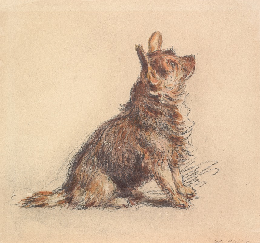 William Henry Hunt - A Terrier Sitting, Looking Up to Right