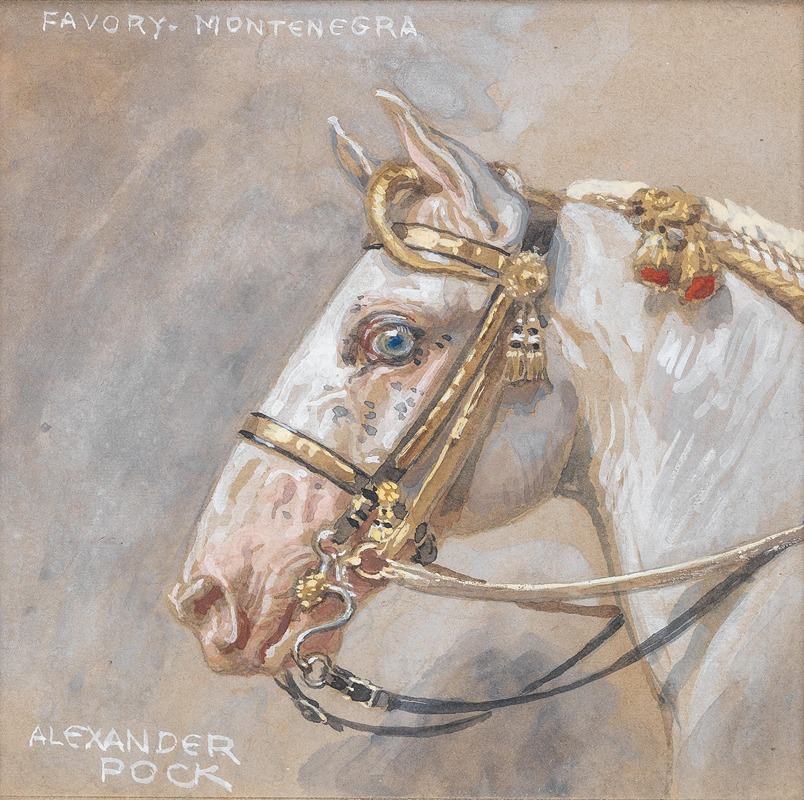 Alexander Pock - Pferdeporträt Favory Montenegra
