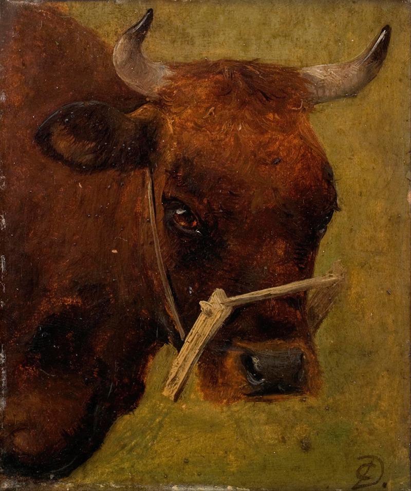 Carlo Dalgas - Head of a cow. Study