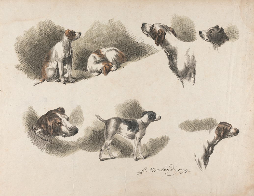 George Morland - Seven studies on hound