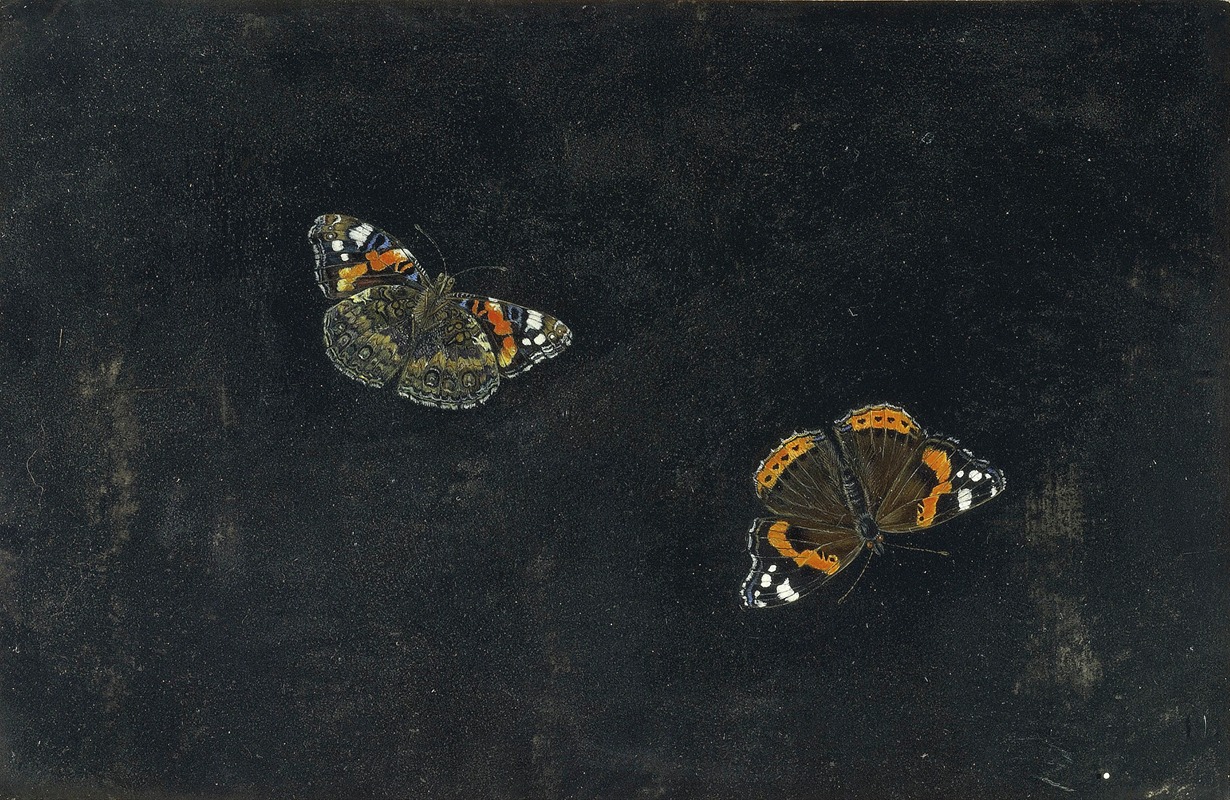 Giovanna Garzoni - Zwei Schmetterlinge