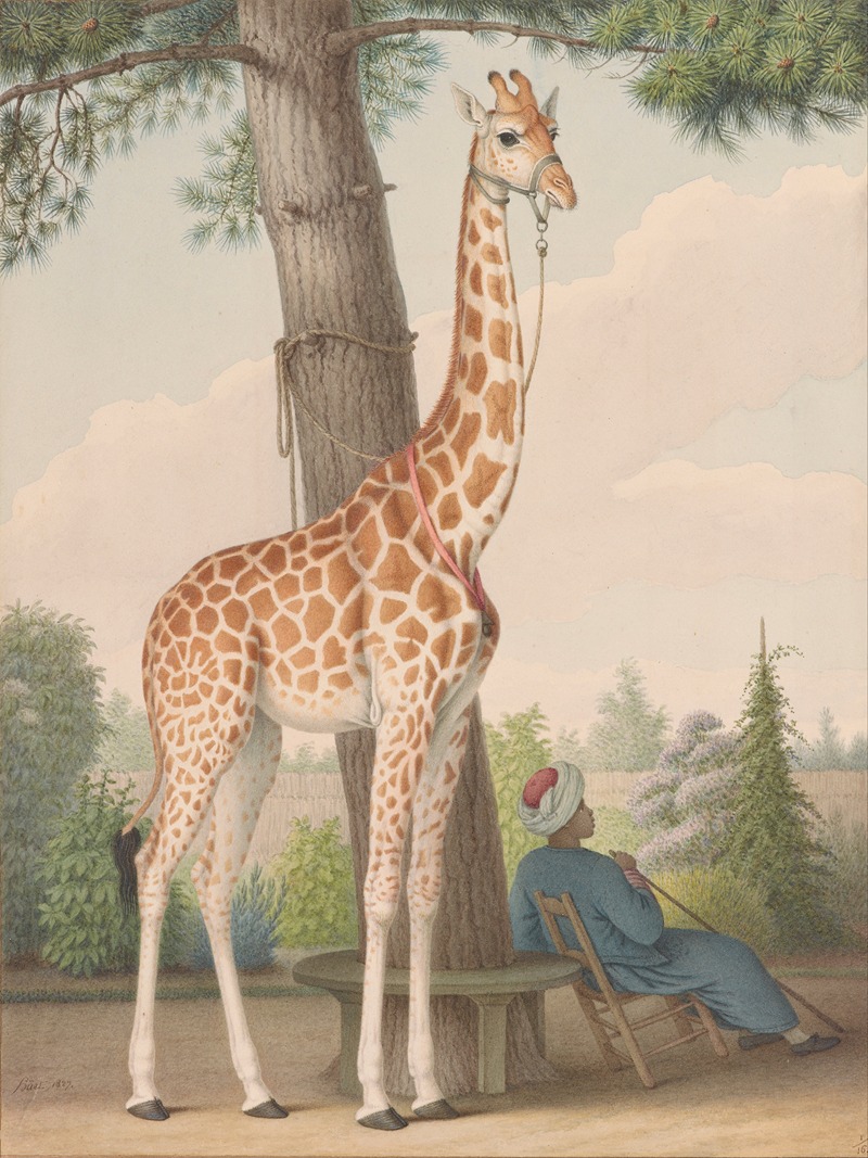 Nicolas Huet The Younger - Study of the Giraffe Given to Charles X by the Viceroy of Egypt