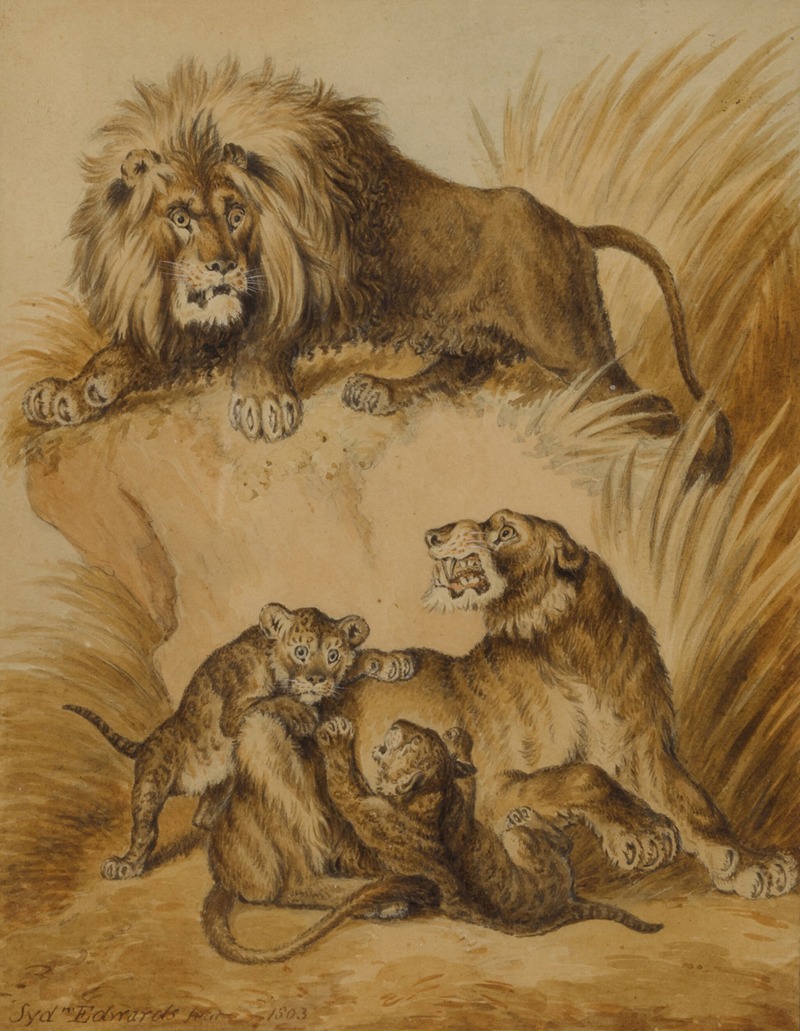 Sydenham Edwards - A Lion, Lioness and two cubs