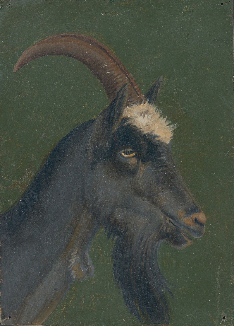 Christian Friedrich Gille - Goat head