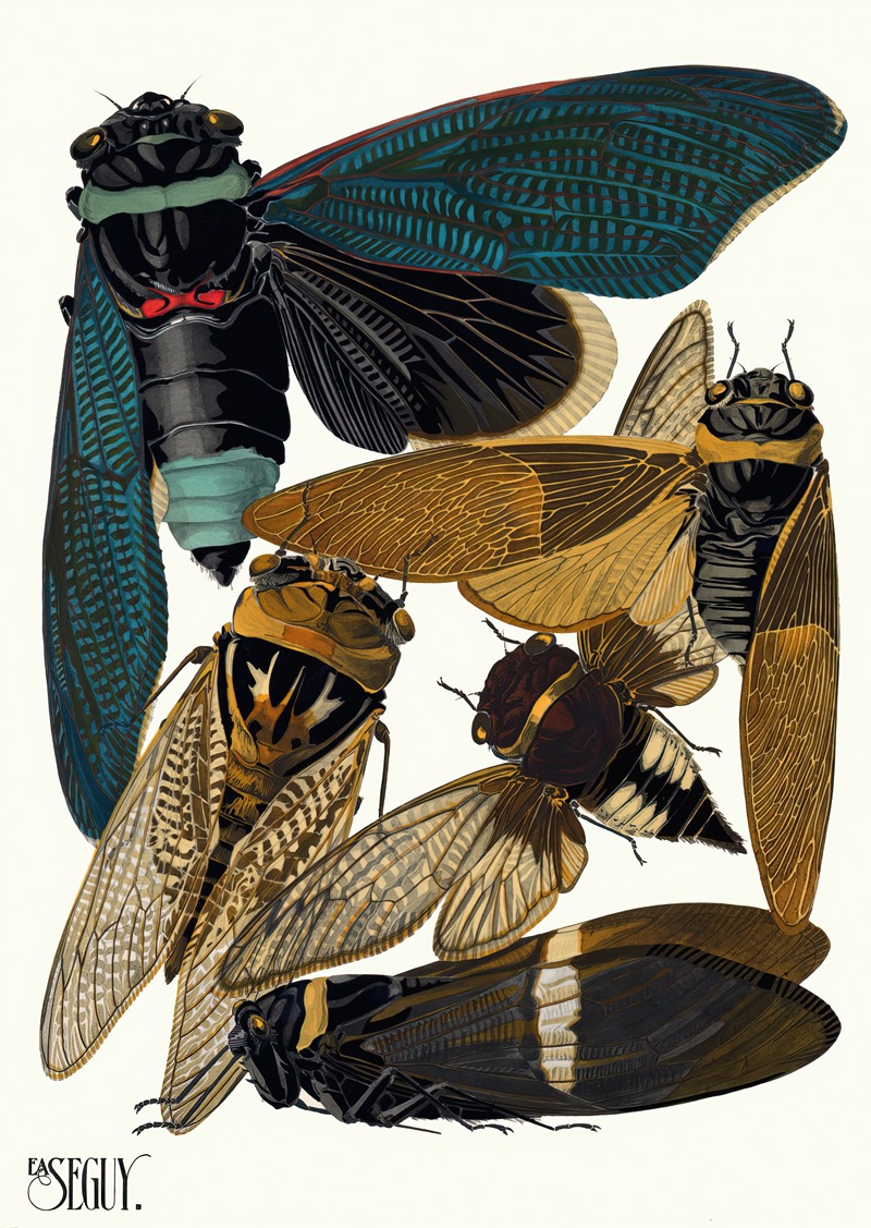Emile-Allain Séguy - Insectes Pl.01